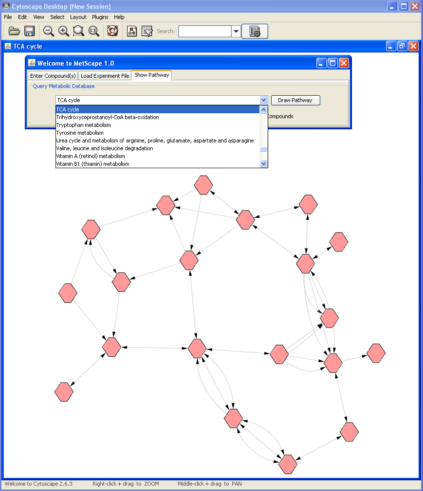 Click to Zoom MetScape Tutorial Image 8